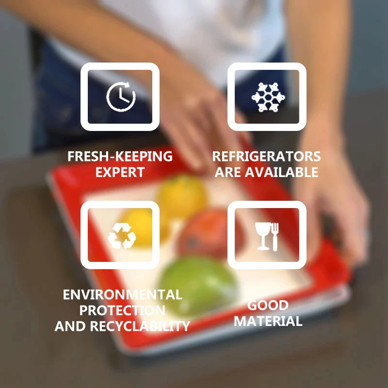 Bandeja de Conservación de Ali - Food Storage And Safety reseña y precio