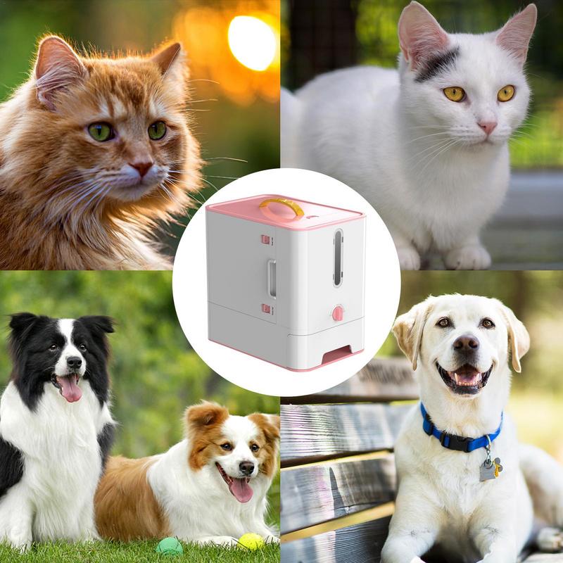 Caja alimentadora para mascota - Food Storage And Safety reseña y precio