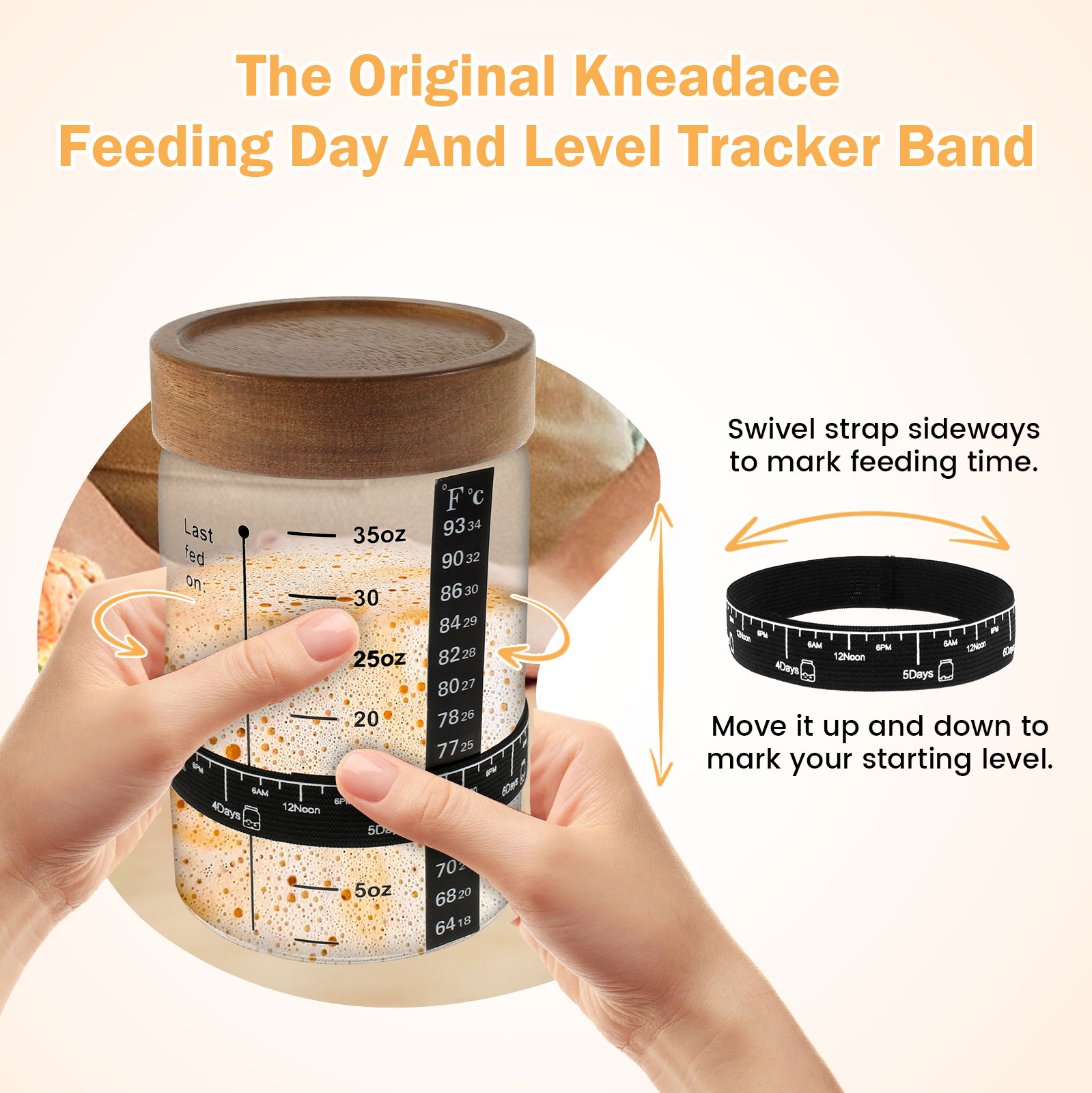 Kit de tarro de inicio de masa - Food Storage Glass reseña y precio