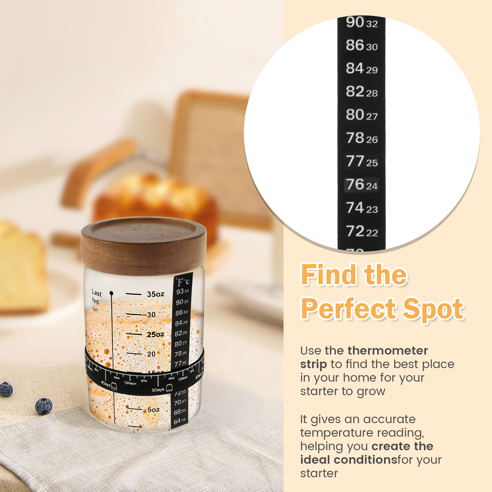 Kit de tarro de inicio de masa - Food Storage Glass reseña y precio