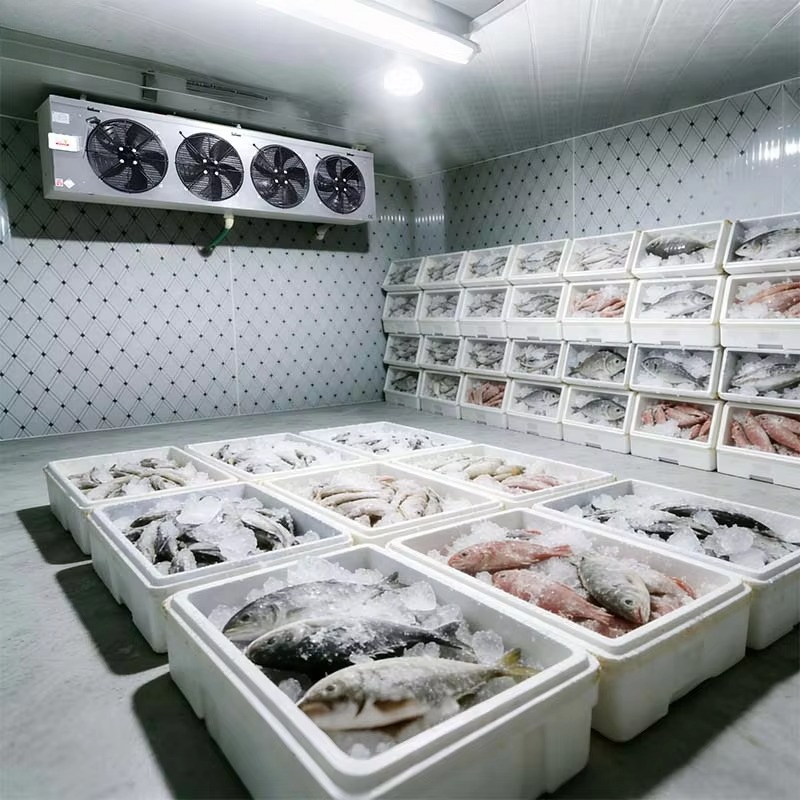 Cámara Frigorífica Personaliza - Food Storage And Safety reseña y precio